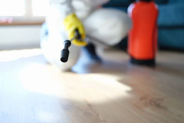 Pendleton, OR Mold Removal Company
